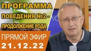 Закон Секса. Программа №2 - Продолжение рода. Прямой эфир. Проект 