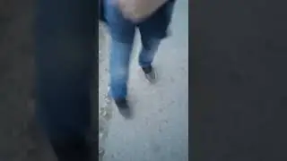 чел шарит