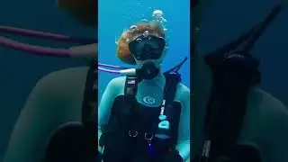 Blue Heron Bridge: Diving 101 🤿