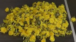 Гидролат из одуванчика (паровая вытяжка из одуванчика)