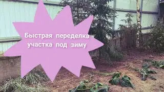 Последняя переделка в этом сезоне🐞