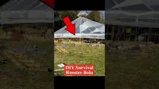 DIY Survival Rooster Bola