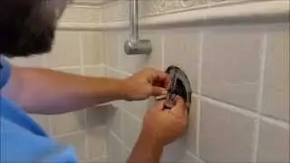 Kohler Coralais shower handle (