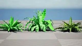 Bird's Nest Fern 3D animation in unreal engine
