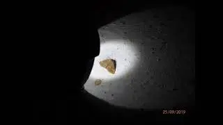 Scopula ochraceata  Greece by Theo Fotiadis