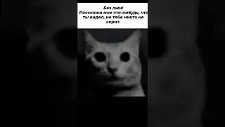 What did you see that no one believes? 