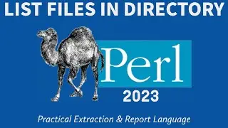 Perl Programming - List Files In Directory 2023