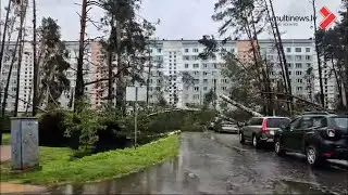 Kauguri pēc vētras