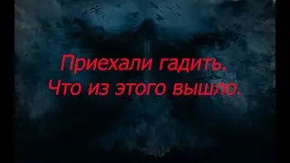 Приехали гадить. Что из этого вышло.