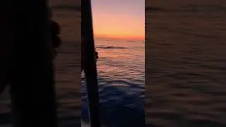Persian Gulf