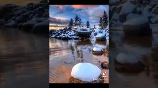 Витас Звезда