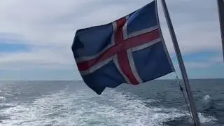 Iceland Flag