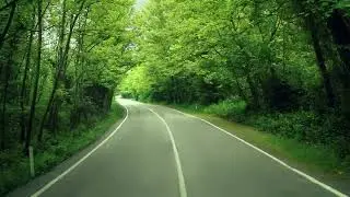 Bartın - Ağaç Tüneli