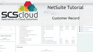 NetSuite Tutorial - Customer Record
