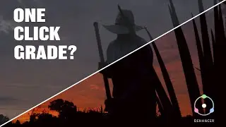 Is Dehancer a One Click Grade | Dehancer Review