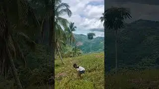 landslide area of masara