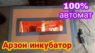 Автоматический инкубатор | Кулда ясалган