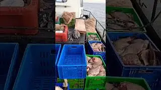 я рыбачу! день и ночь! не  когда мне спать!