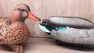 Stampi anatre e stampi motorizzati, AVIAN X, MOJO E GHG