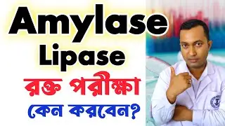 Amylase Lipase Blood test | Amylase Lipase পরীক্ষা কেন করবেন | Amylase Lipase normal range |