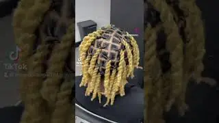 #lasvegasstylist #locs #loclife #locgoals