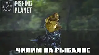 #shorts Fishing Planet  - Ловим карпов на Випинг Вилоу - СТРИМ 22.08.2024