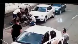 Amstaff câine de lupta ataca un alt caine alaturi de stapana ! [STIRE]