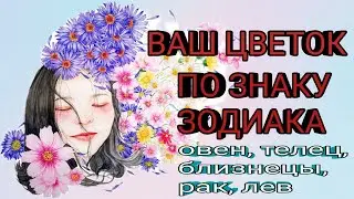 Ваш цветок по знаку зодиака.