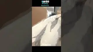 Кун узнал что Рахиль убила Бама. Башня Бога. 