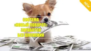 Как реально заработать без вложений