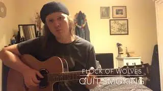 QUIT SMOKING SONG!!