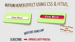 #8 Button Hover Effect Using CSS and HTML | Explain In Bengali  