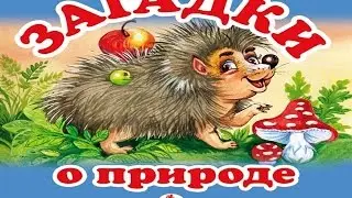 Загадки для Детей. Загадки о Природе