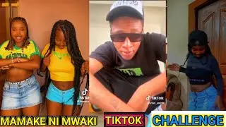 MAMAKE NI MWAKI  TIKTOK DANCE CHALLENGE BY YBW SMITH