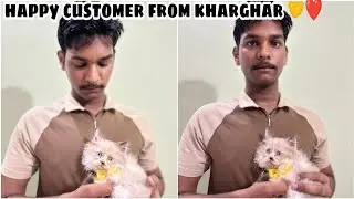 Happy client from kharghar navi mumbai | welcome new furry family members 😍 #cutecat #happycustomer