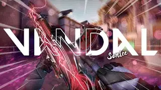 VALORANT VANDAL