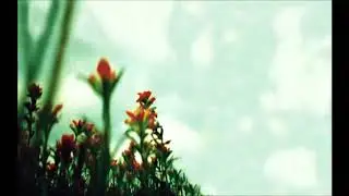 La Mer (Stella Soleil Remix)