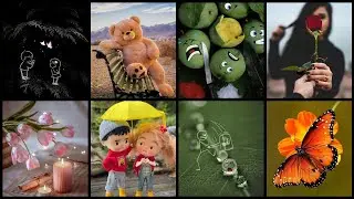 😍Dp Pic 👍Dp Pictures For Whatsapp 💥 Lovely Dp Whatsapp ❤️ Whatsapp Dp Images