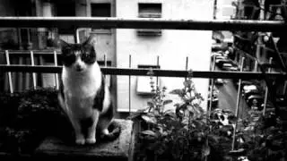 Έλλη Πασπαλά- Ζω εδώ