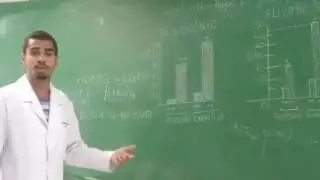 Trabalho de bioquímica Fosfofrutoquinase