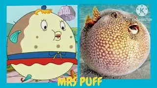 ✅ SpongeBob Characters in Real Life - Main Characters! 2
