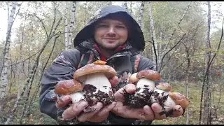 White JACKPOT