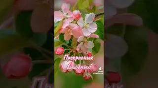 Прекрасных выходных! Доброе утро!