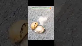 Got the job done, go for it. Video by: @sergkamrus 