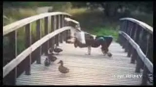 разние неудачи