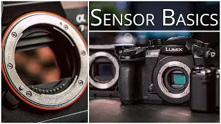 Camera Sensor Basics - Explaining Crop Factor, Full Frame, APS-c, Micro 4/3rds & Lens Mounts