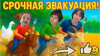 📦 Они сожрали ВСЁ за 1 день! 😂 Кто настоящий ОБЖОРА в семье?