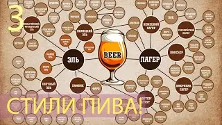 СТИЛИ ПИВА! ПРОХОЖДЕНИЕ BREWMASTER 3