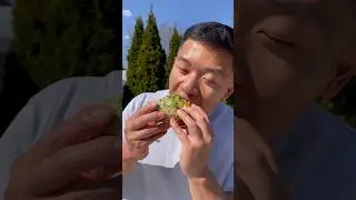 The best sandwich you’ll ever have 