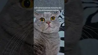 не, ну это жёсткий момент😅